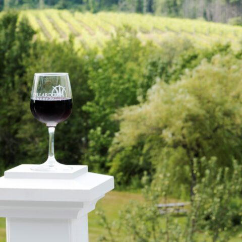 It's christmas in july at laurita winery today - photo licensed by shore news network.