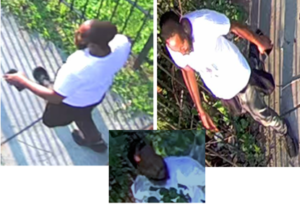 D. C. Stabbing suspect caught on camera