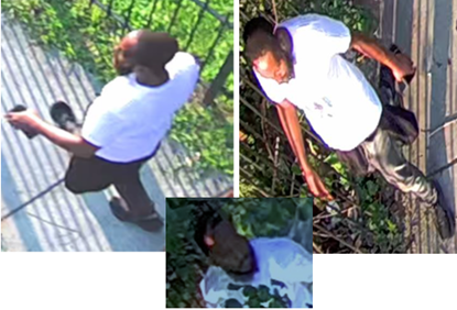 D.C. Stabbing Suspect Caught On Camera