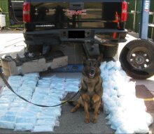 Border Patrol Agents Seize Over 200 Pounds of Fentanyl