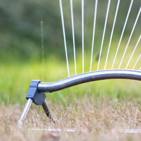 Water company advising shore residents to use less water as summer heats up - photo licensed by shore news network.