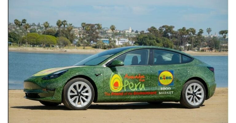 Lidl to give away tesla electric vehicle to one lucky winner this summer - photo licensed by shore news network.