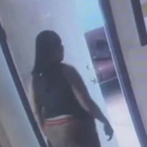 Job seeker steals from 5 purses during job interview in newark - photo licensed by shore news network.