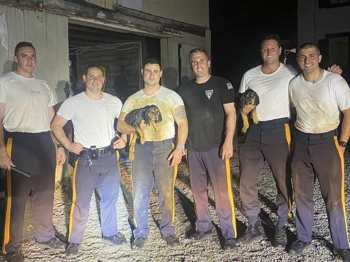 New Jersey Cops Rescue Three Puppies from 10-Foot Deep Trench