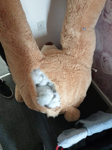 Suspect Hid from Police in Giant Teddy Bear After Stealing Car, Gas Suspect Hid from Police in Giant Teddy Bear After Stealing Car, Gas
