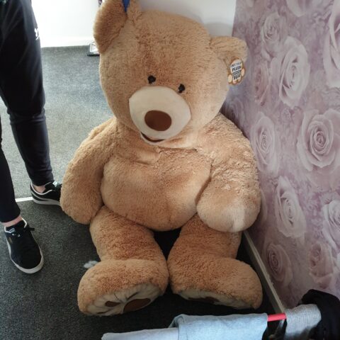 Suspect hid from police in giant teddy bear after stealing car, gas - photo licensed by shore news network.