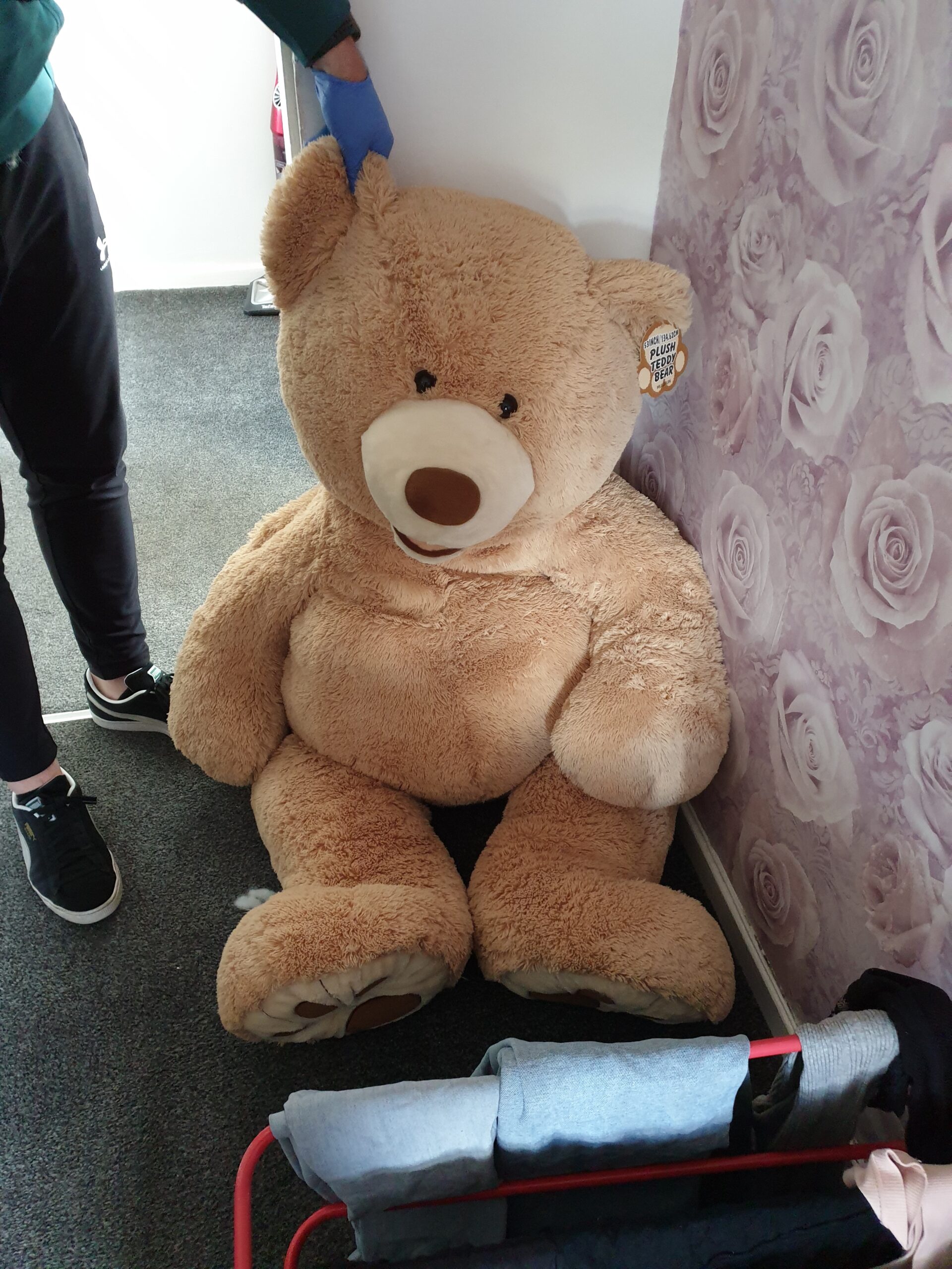 Suspect Hid from Police in Giant Teddy Bear After Stealing Car, Gas