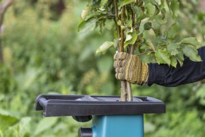 Lacey resident not so chipper after wood chipper theft