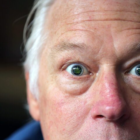 Reefer madness? Shore republicans sound alarm on dangers of legalized marijuana - photo licensed by shore news network.