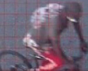 Newark police investigating bike theft