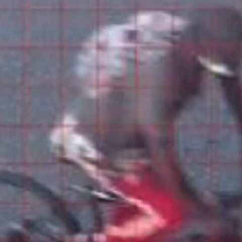 Newark police investigating bike theft - photo licensed by shore news network.