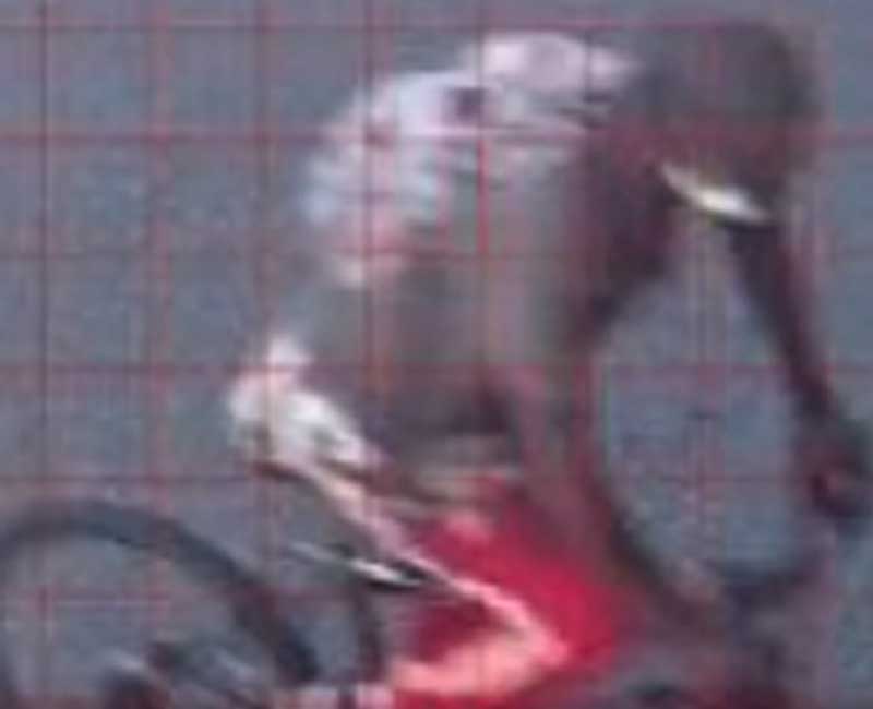 Newark Police Investigating Bike Theft