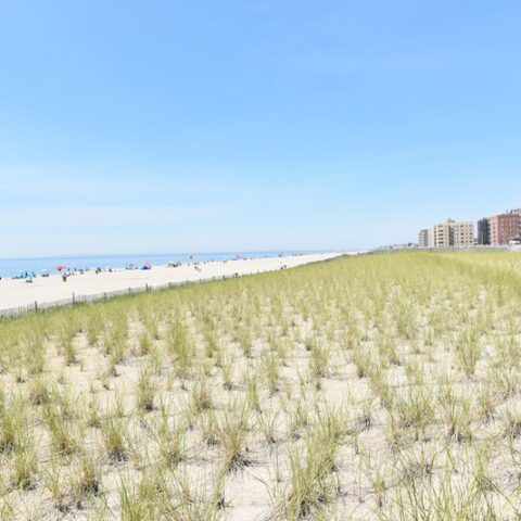 Nws issues rip current warning for city beaches - photo licensed by shore news network.