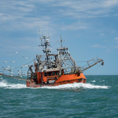 Migrant gets 20 years for scallop boat murder - photo licensed by shore news network.
