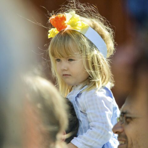‘my kiddo is a natural’: video features child pole dancing at pride event - photo licensed by shore news network.