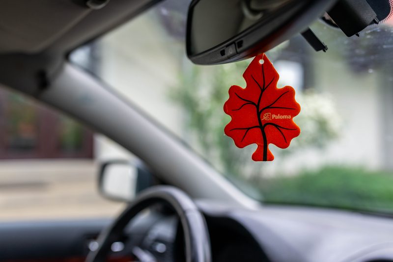 Did You Know: Air Fresheners are Illegal to Hang from Your Rear