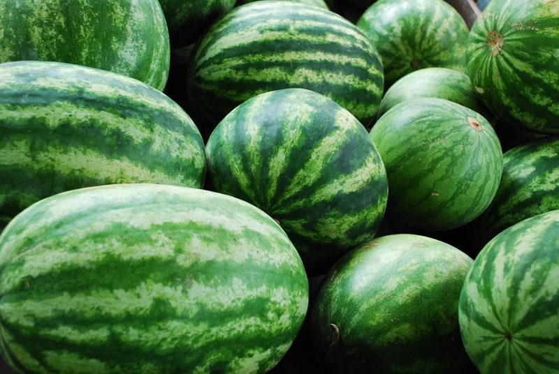 Those Aren't Watermelons; Human Trafficker Arrested for Transporting Illegal Migrants