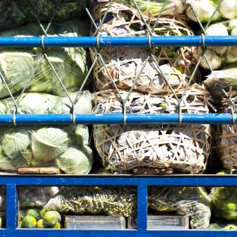 Texan gets max for smuggling people behind produce - photo licensed by shore news network.