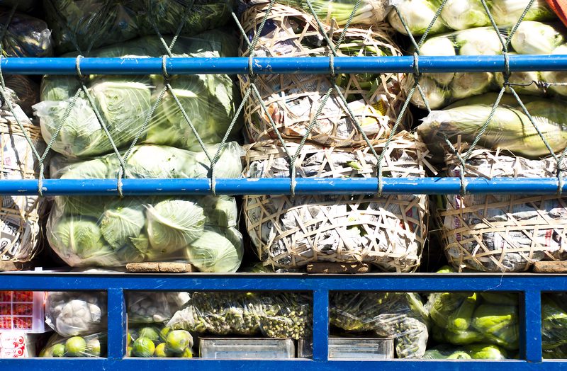 Texan gets max for smuggling people behind produce