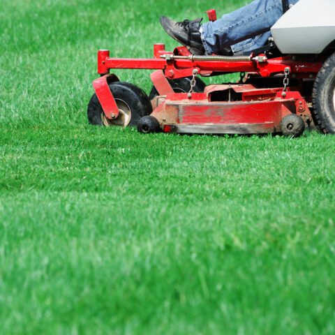 Bomb squad called after harford county man finds explosive devices while mowing lawn - photo licensed by shore news network.