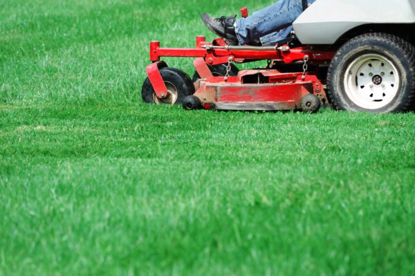 Bomb Squad Called After Harford County Man Finds Explosive Devices While Mowing Lawn