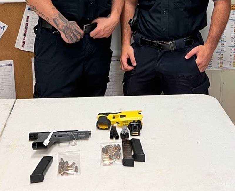 New York City man with twenty prior convictions tased wife, threatened to shoot her