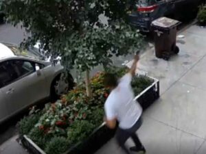New york city police investigating early morning drive-by, shooting in queens