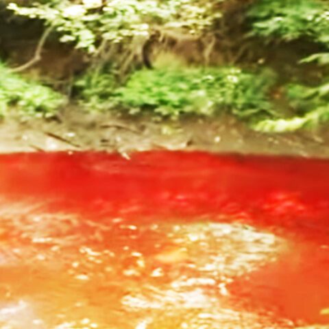 Beverage company turns creek red after caught discharging dye into water system - photo licensed by shore news network.