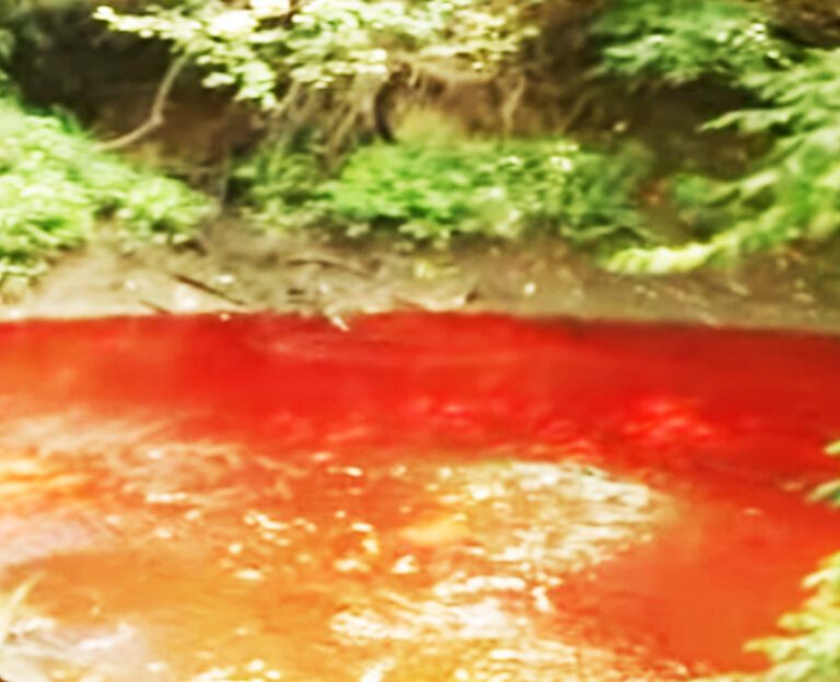 Beverage company turns creek red after caught discharging dye into water system - photo licensed by shore news network.