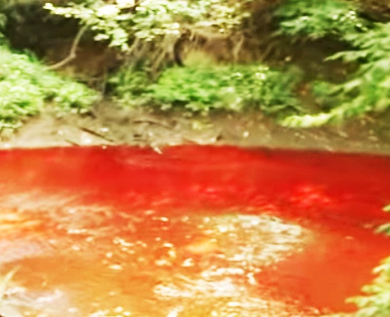 Beverage Company Turns Creek Red After Caught Discharging Dye into Water System