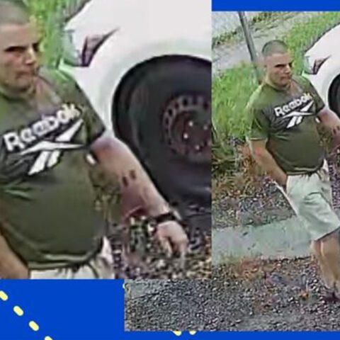 Test drive turns into grand theft auto at columbus honda dealer - photo licensed by shore news network.