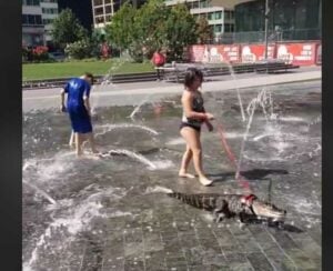 Girl walks emotional support alligator in philadelphia park