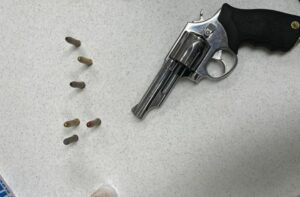Police capture man with gun at paterson dominican day parade