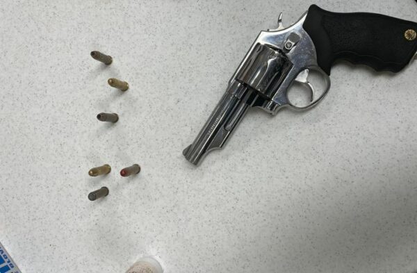 Police Capture Man With Gun at Paterson Dominican Day Parade