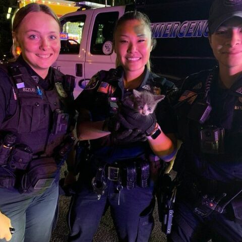 Trooper rescues dog stranded on highway - photo licensed by shore news network.