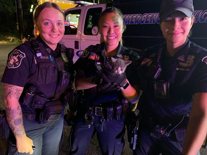 Trooper Rescues Dog Stranded on Highway