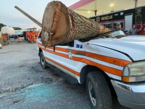 Stafford township volunteer fire company trains for tree down extrication