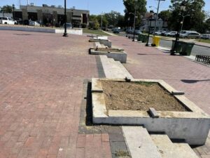 As lakewood homeless relocate, town officials continue cutting down trees