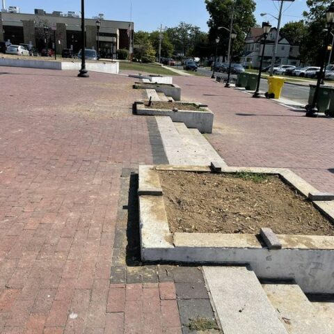 As lakewood homeless relocate, town officials continue cutting down trees - photo licensed by shore news network.