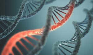 Dna evidence links new york city man to 1996 murder of pregnant woman