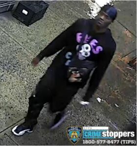 New york police searching for rapist in the bronx