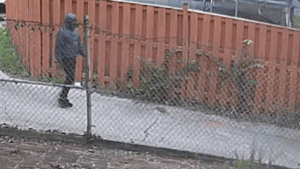 D. C. Armed robber caught on camera