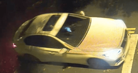 Two Men and One Woman Shot in Northwest D.C.