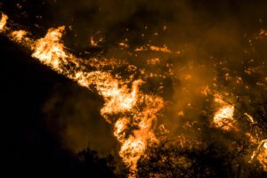 Fire near lakewood reporter's home appears to be intentional, fire department says