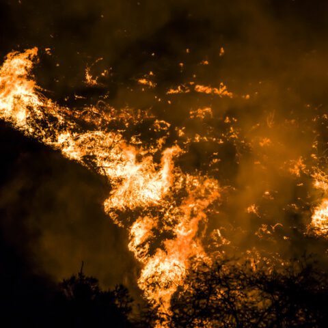 Fire near lakewood reporter's home appears to be intentional, fire department says - photo licensed by shore news network.