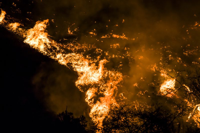 Fire near Lakewood reporter's home appears to be intentional, fire department says