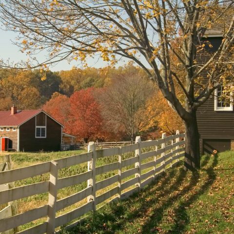 Law to encourage more female and minority farmers in new jersey signed by governor - photo licensed by shore news network.