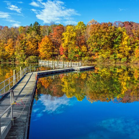 Here are some of the best places to see fall foliage in new jersey - photo licensed by shore news network.