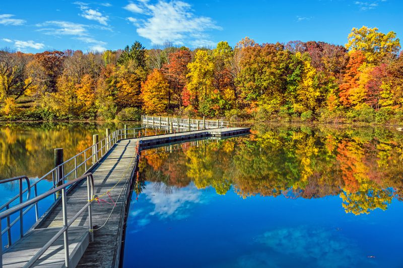 Scenic New Jersey Fall Fly Fishing by George Oze