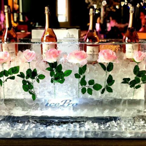 Florida’s leading creative ice professionals joins forces and relocates to orlando - photo licensed by shore news network.